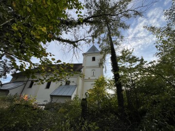 Vegetation - modification