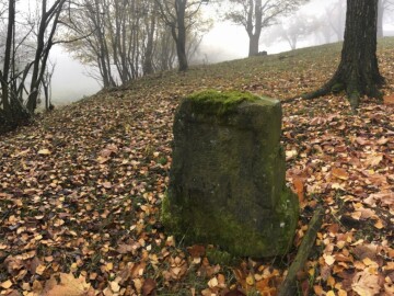 Čeřeniště III