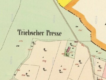 LT Triebscher Presse