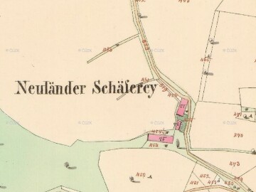 LT Neuländer Schäferay 