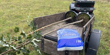 Nové lípy podruhé