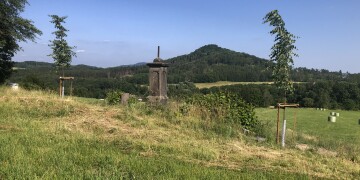 Kříž Řetouň I - vysazení stromů