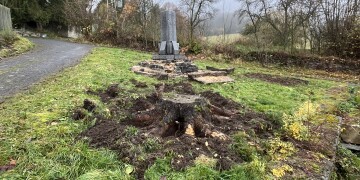 The third (small) step